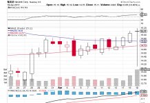Professional Analysts at Wedbush Maintained their “Neutral” rating for Navient (NDAQ:NAVI). The Target Price per Share is Set to $16.50, 7 Analysts Covering Integra Lifesciences Holdings (IART)